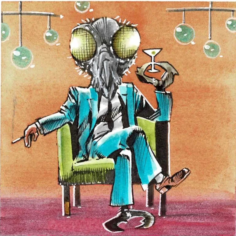 Lounge Fly